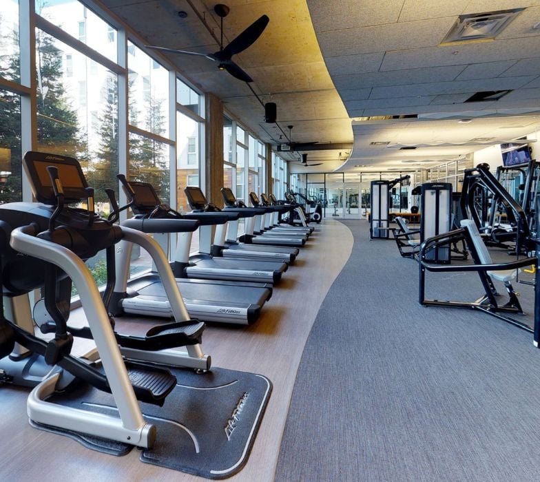 Gym Equipment Moving