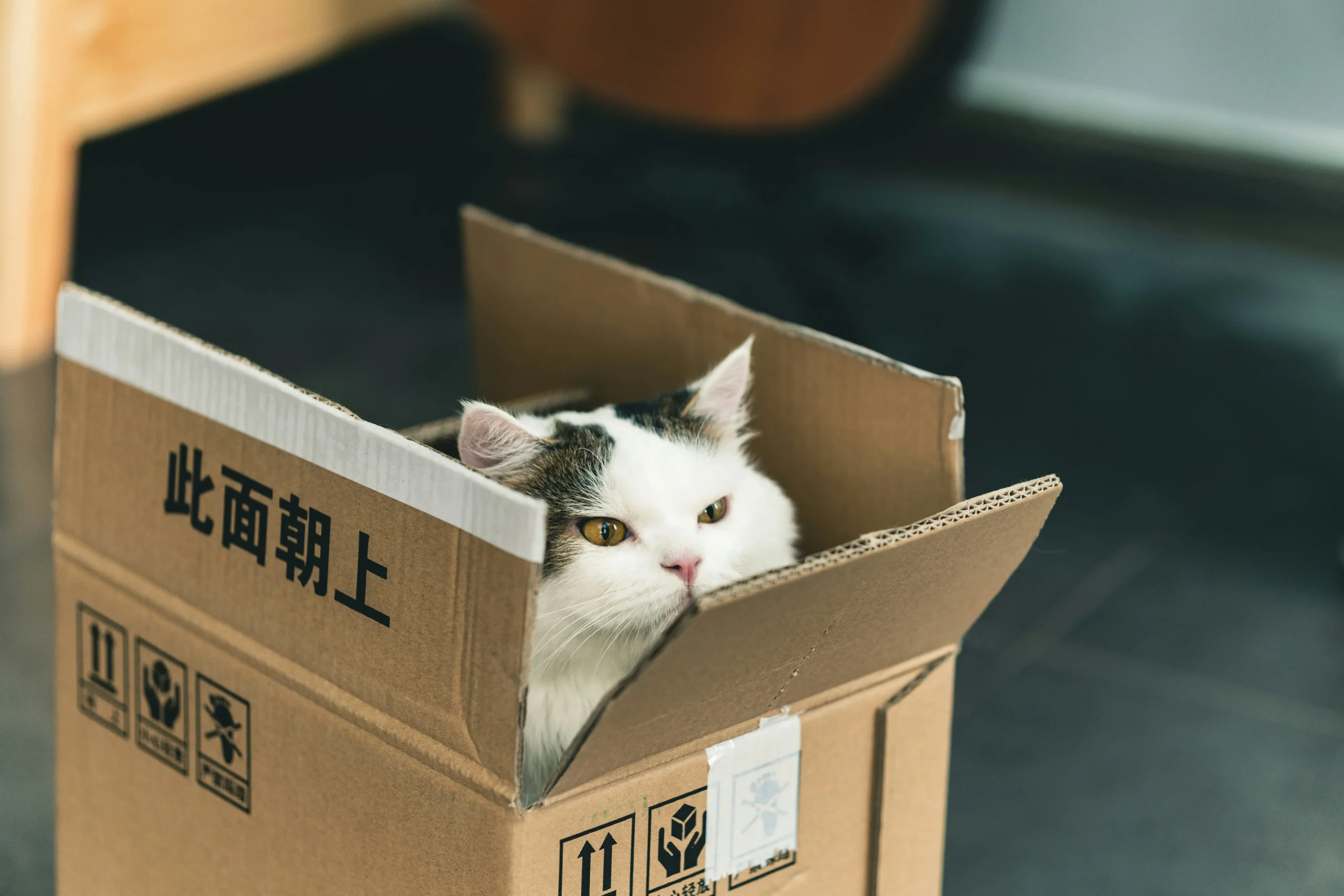 Moving with Pets in Las Vegas: Tips for a Stress-Free Relocation